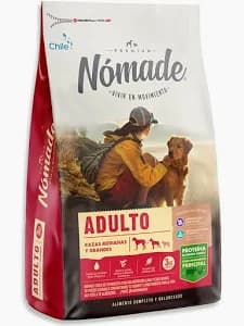 Nomade perro adulto